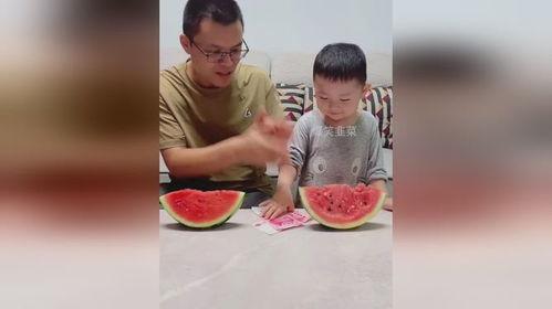 吃瓜父母儿子,吃瓜父母与叛逆儿子的成长故事