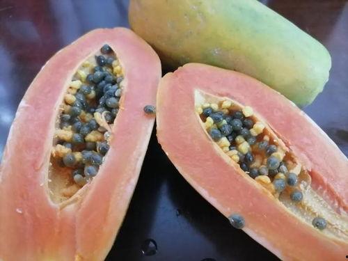 英姐摘瓜吃吗,一场别开生面的美食体验