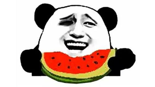 吃瓜送心完整视频,揭秘视频背后的感人故事