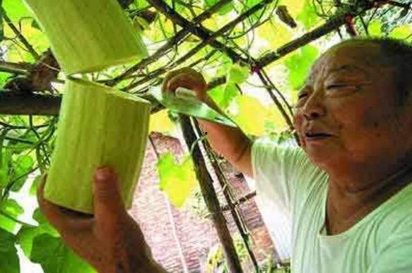 老大爷砍瓜吃瓜视频,这才是真正的吃瓜群众！