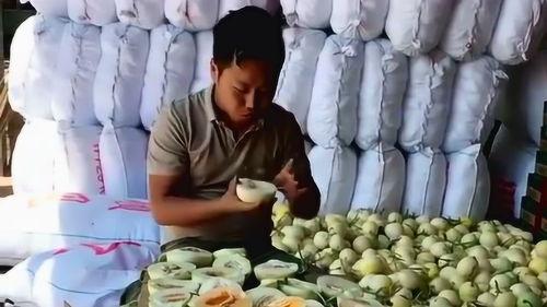 豪横的吃瓜,揭秘娱乐圈幕后风云