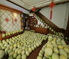 吃三白瓜的功效与作用,润肺清热，美容养颜的天然良药