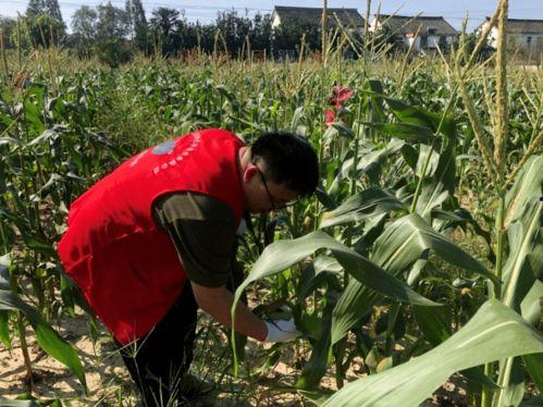 钱江厂吃瓜,揭秘背后真相与网络舆论风暴